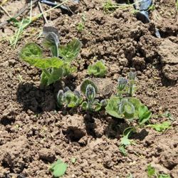 13768181343976_izdancimaj2013___1__.jpg