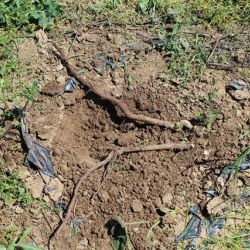 1376818576012_izdancimaj2013___15__.jpg