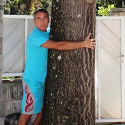 13798416389103_130921_hnovipaulownia10godzagrljaj2___copy__.jpg