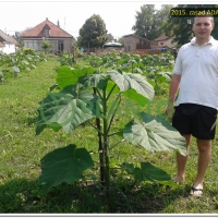 15478197436436_1506_ZasadAda1GOD_9.jpg