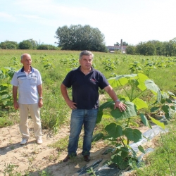 NoviZasadiMaj2014.