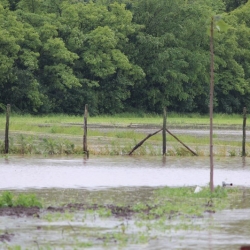 Poplave 2014