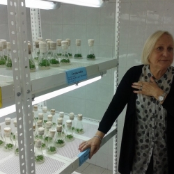 U OBILASKU LABORATORIJI ZA MIKROPROPAGACIJU INSTITUTA ZA VOĆARSTVO U ČAČKU