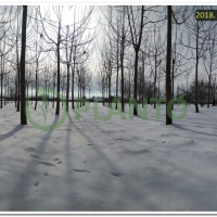 15478132798863_2018_ZasadFruskaGora_3god_2.jpg