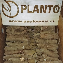 REZNICE U PONUDI